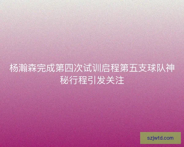 杨瀚森完成第四次试训启程第五支球队神秘行程引发关注